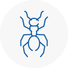 Ant Removals In Southsea
