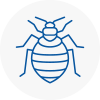 Bed Bug Extermination In Southsea