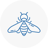 Bee Nest Removal Southsea