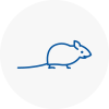 Mice Exterminators In Southsea