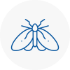 Moth Control Specialists In Southsea